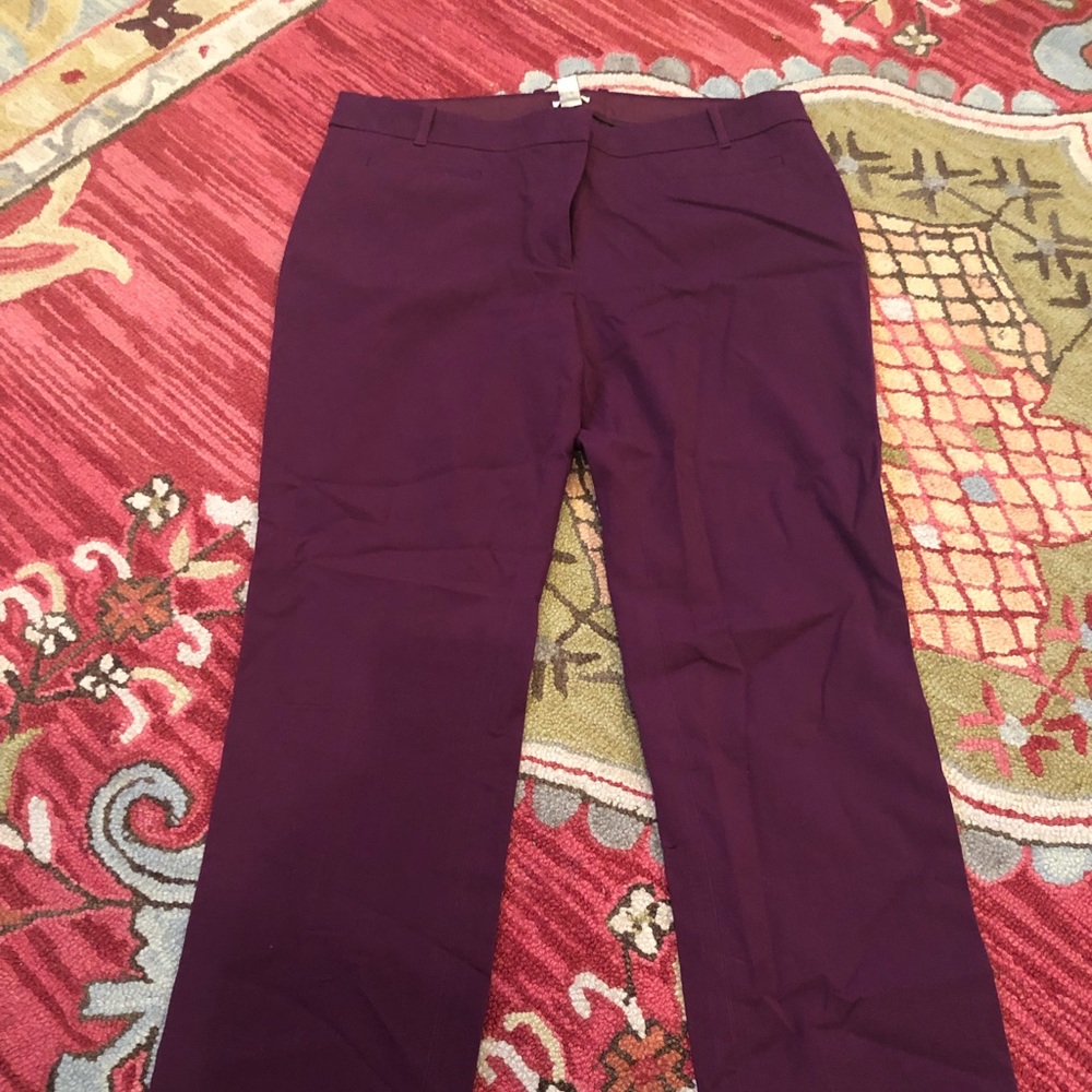 JCrew Stretch Pants